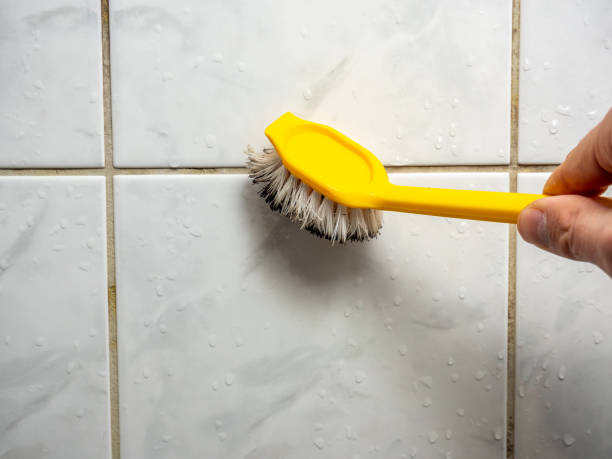 Best White Mold Remediation in Congers, NY